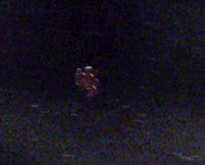daggit debris