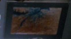 Picture in Dr. Wilker's lab