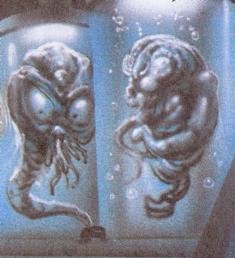 Creatures in Dr. Resik's lab