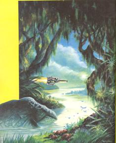 Hidden toad-fish